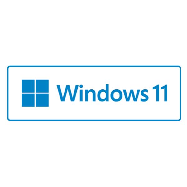 WINDOWS 11 PRO 64BIT SPA 1PK DVD